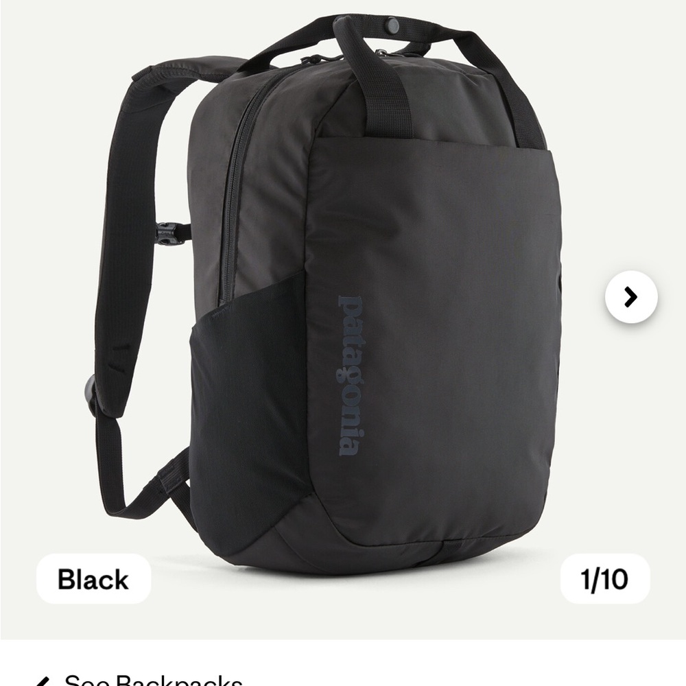 Patagonia Black Atom 20L Backpack